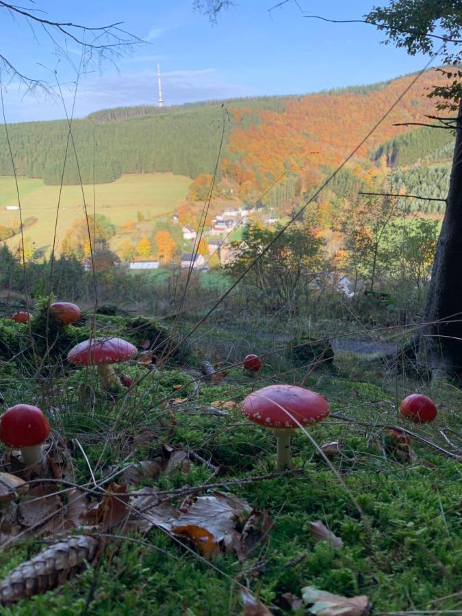 Ferienwohnung Duennebacke Schmallenberg Exteriör bild