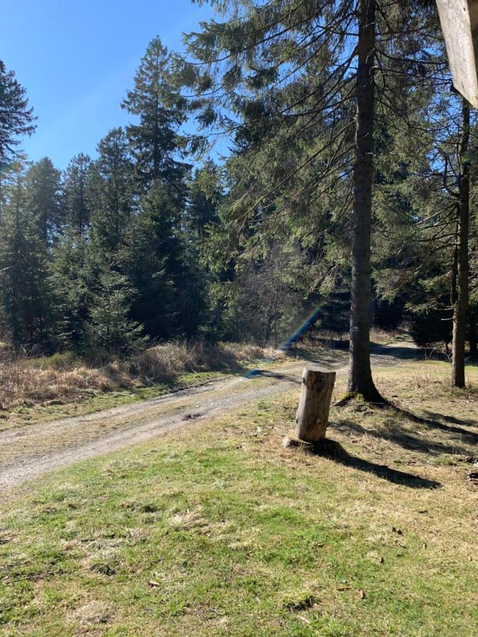Ferienwohnung Duennebacke Schmallenberg Exteriör bild